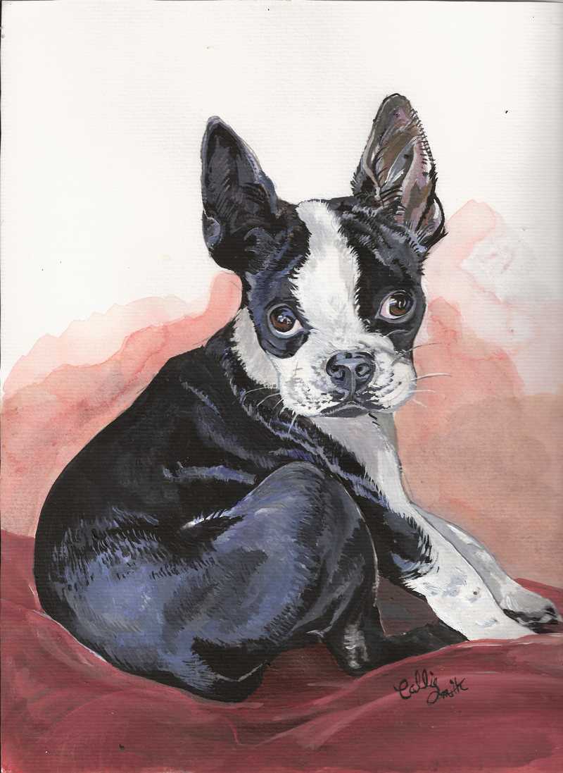 corgi water color