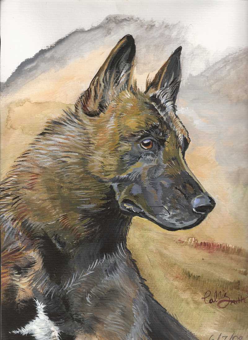 corgi water color