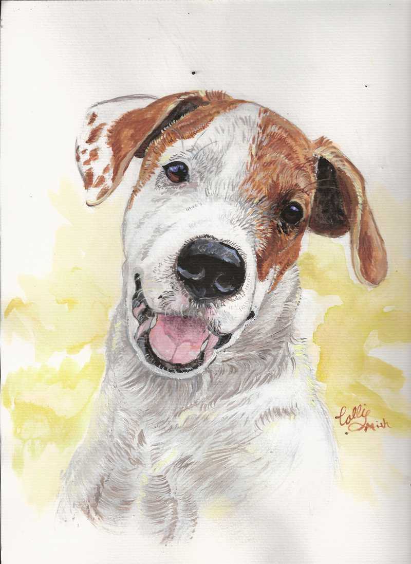 corgi water color